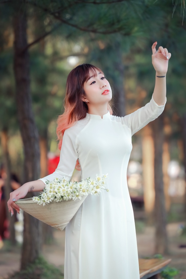 牡丹在线免费观看 更新5