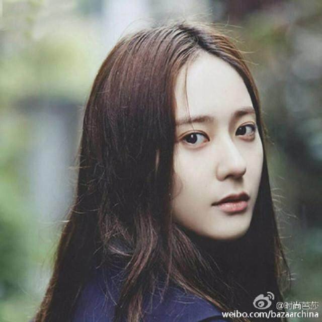 牡丹在线免费观看 更新4